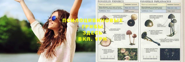 скорость Абинск