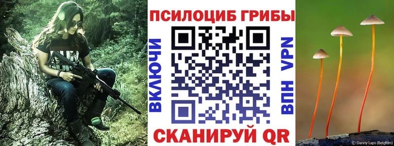 Галлюциногенные грибы мицелий  Ленинградская 